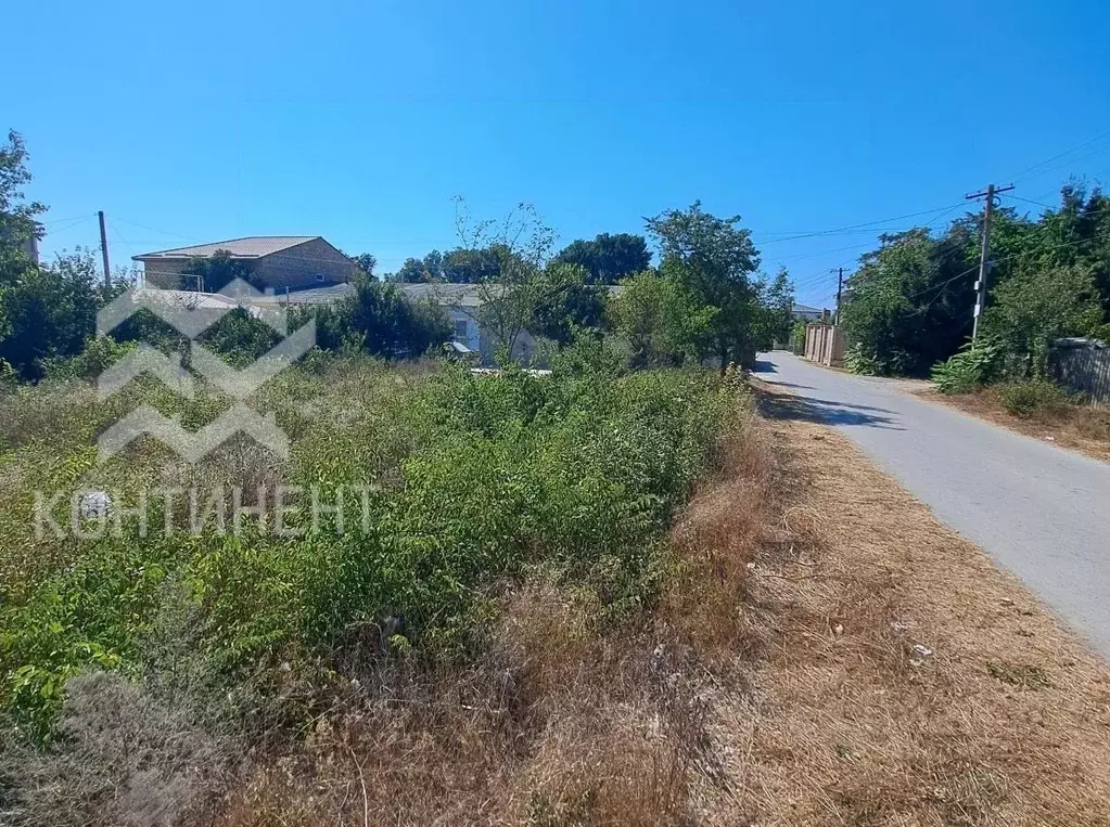 Участок в Крым, Черноморский район, с. Новосельское, Дружба СНТ ул. ... - Фото 2