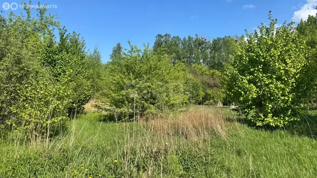Участок в Калининград, СНТ Мелиоратор (12.4 м) - Фото 2