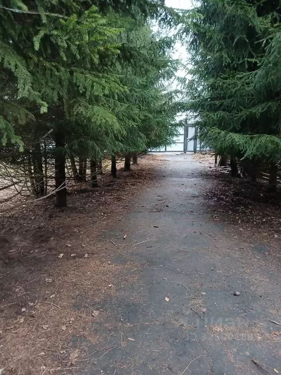 Дом в Тамбовская область, Моршанский муниципальный округ, пос. Вяжли  ... - Фото 2