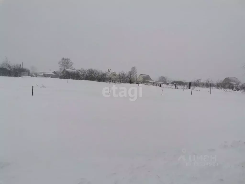 Участок в Алтайский край, Барнаул городской округ, пос. Бельмесево  ... - Фото 0