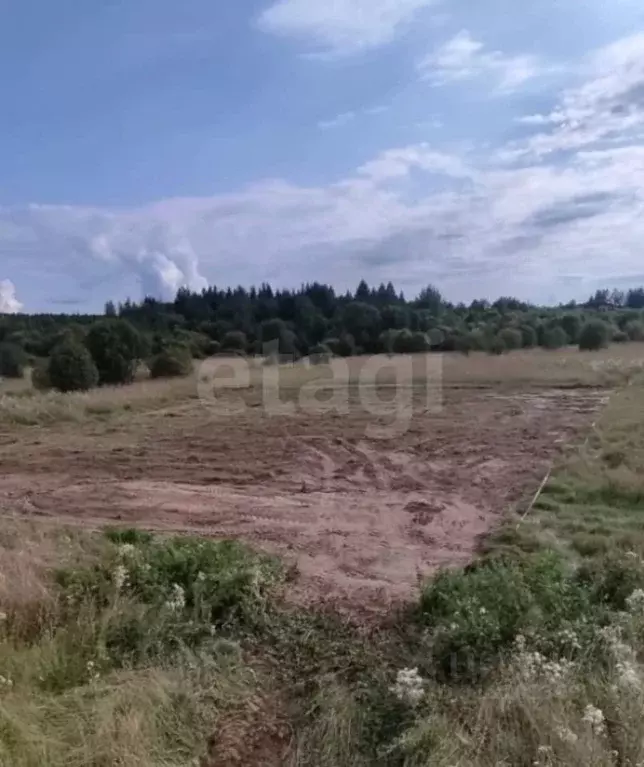 Участок в Вологодская область, Шекснинский муниципальный округ, с. ... - Фото 1