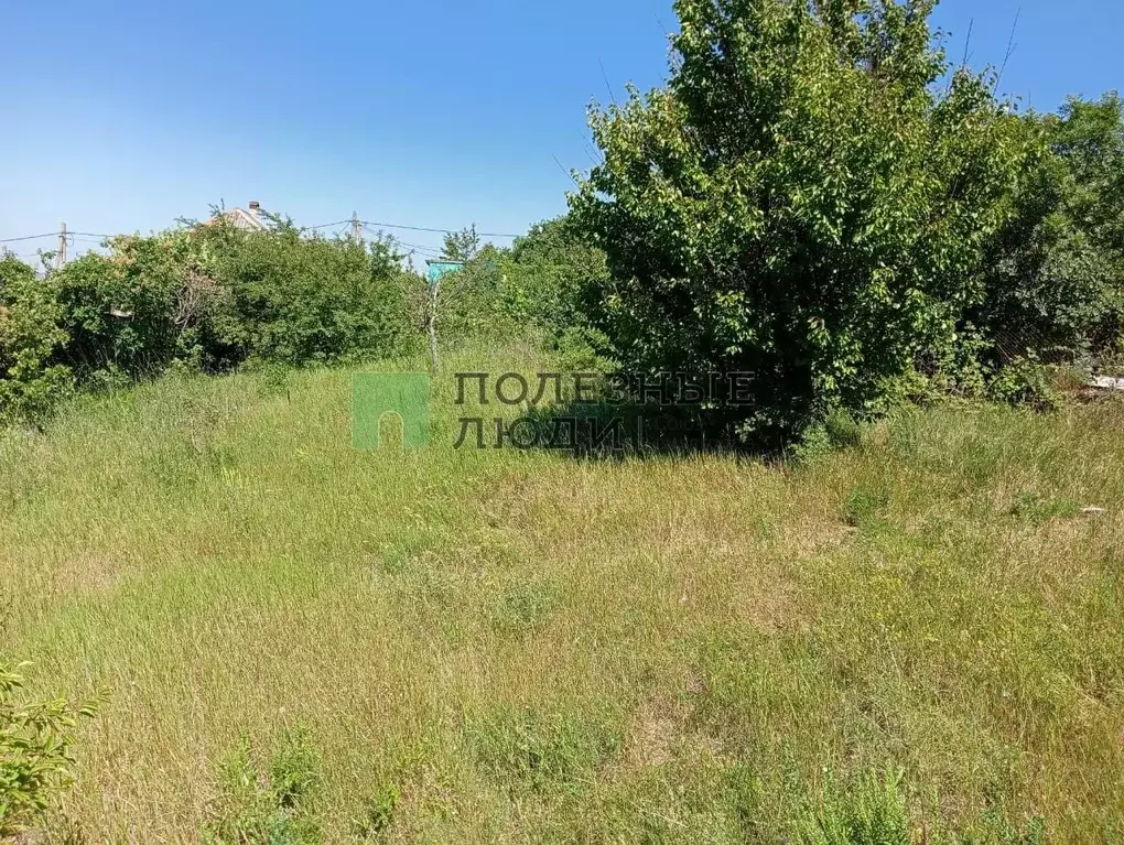 Участок в Краснодарский край, Новороссийск городской округ, Убых хут. ... - Фото 1