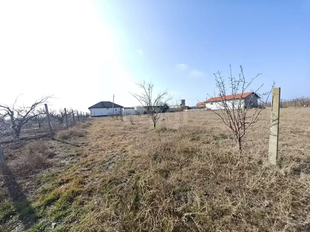 Участок в Крым, Сакский район, Лесновское с/пос, с. Владимировка, ... - Фото 2