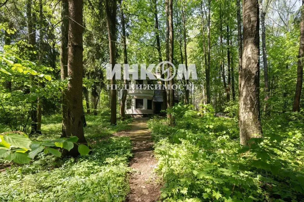 Участок в Московская область, Мытищи городской округ, пос. Трудовая ... - Фото 1