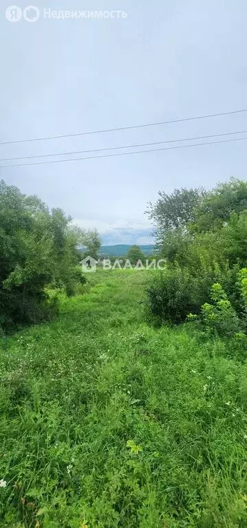 Участок в Уссурийский городской округ, село Долины, улица Баневура, 5 ... - Фото 1