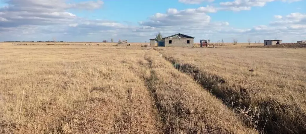 Участок в Волгоградская область, Среднеахтубинский район, ... - Фото 0