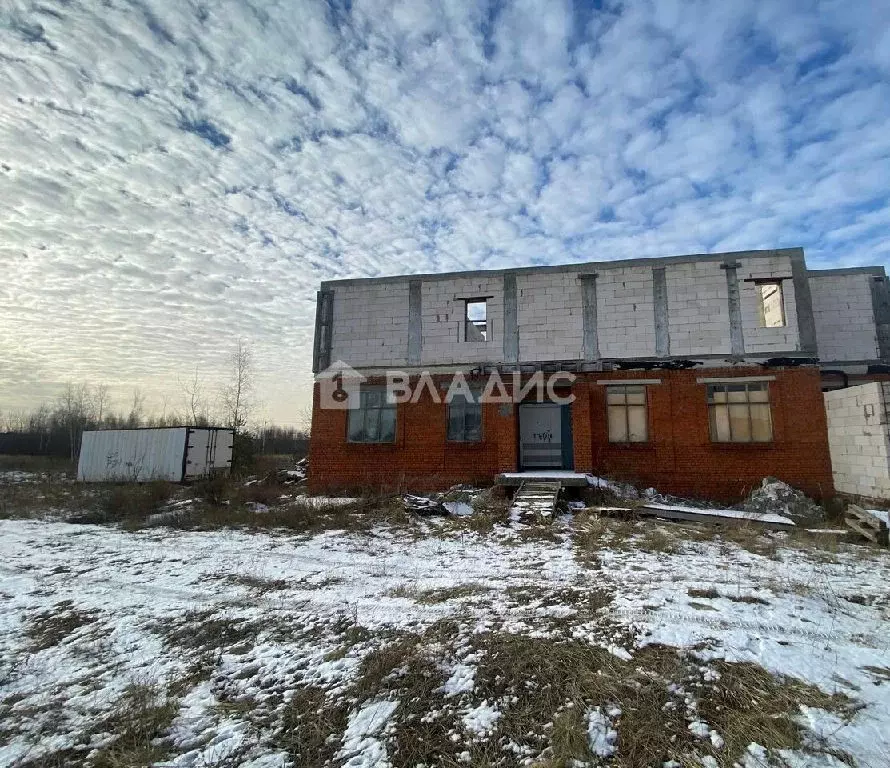 Продается дом в с. Нижнее Хорошово - Фото 1