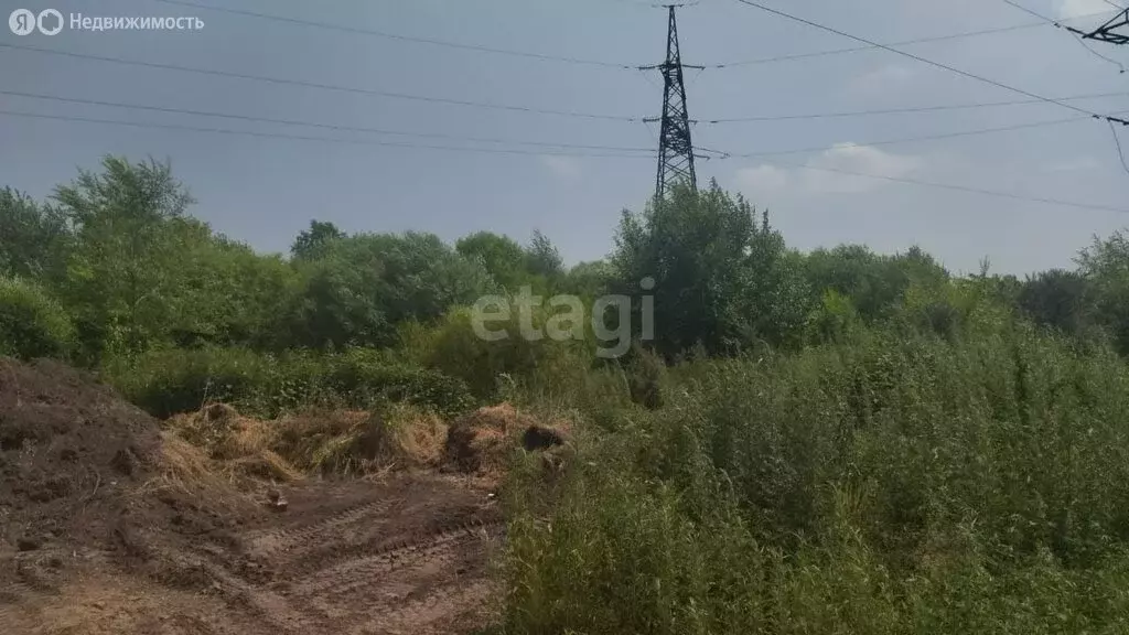 Участок в Благовещенск, СНТ Фиалка (10.3 м) - Фото 1