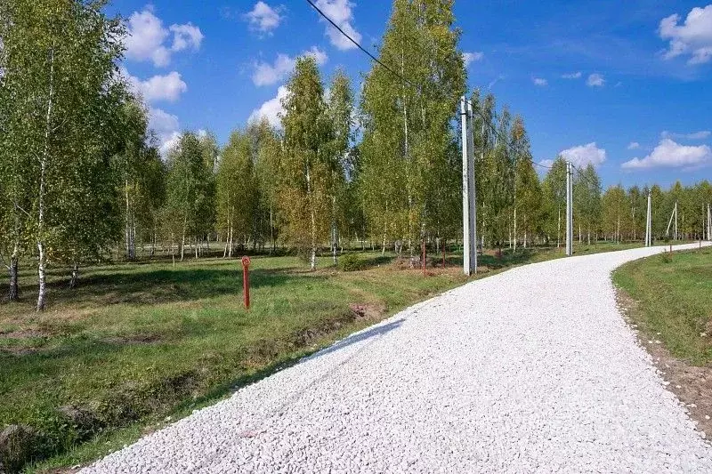 Участок в Тульская область, Заокский район, Демидовское муниципальное ... - Фото 0