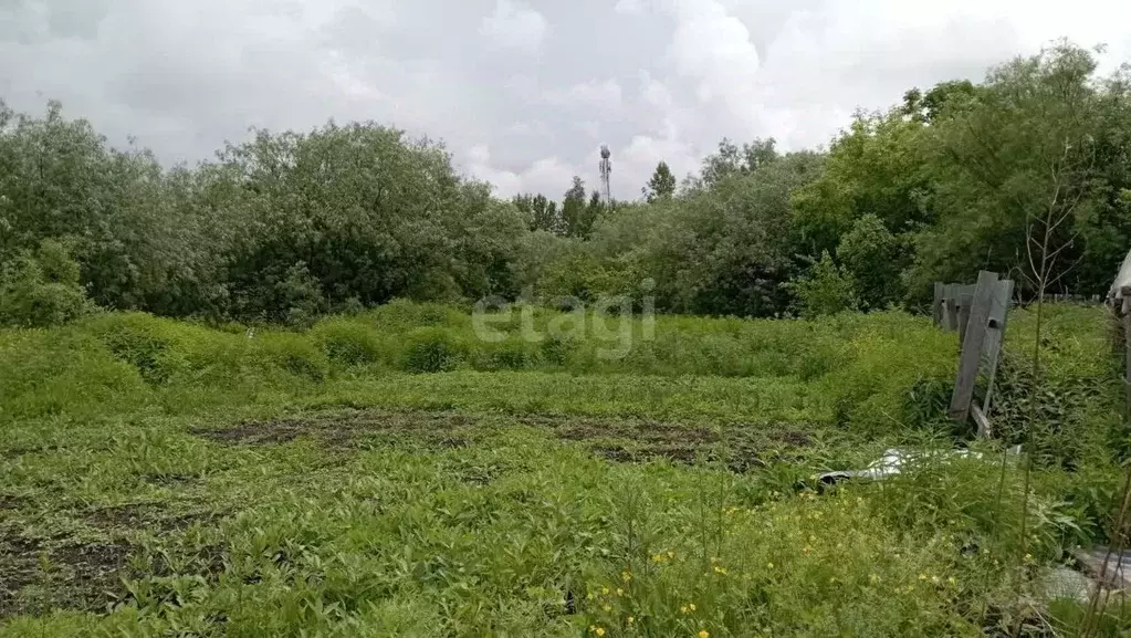 Участок в Еврейская автономная область, Смидовичский район, пос. ... - Фото 0