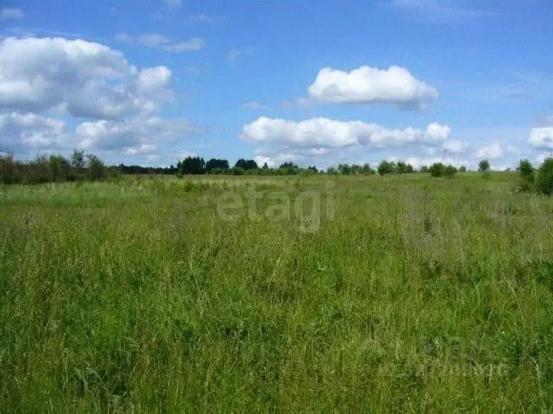 Участок в Башкортостан, Уфимский район, Зубовский сельсовет, с. ... - Фото 1