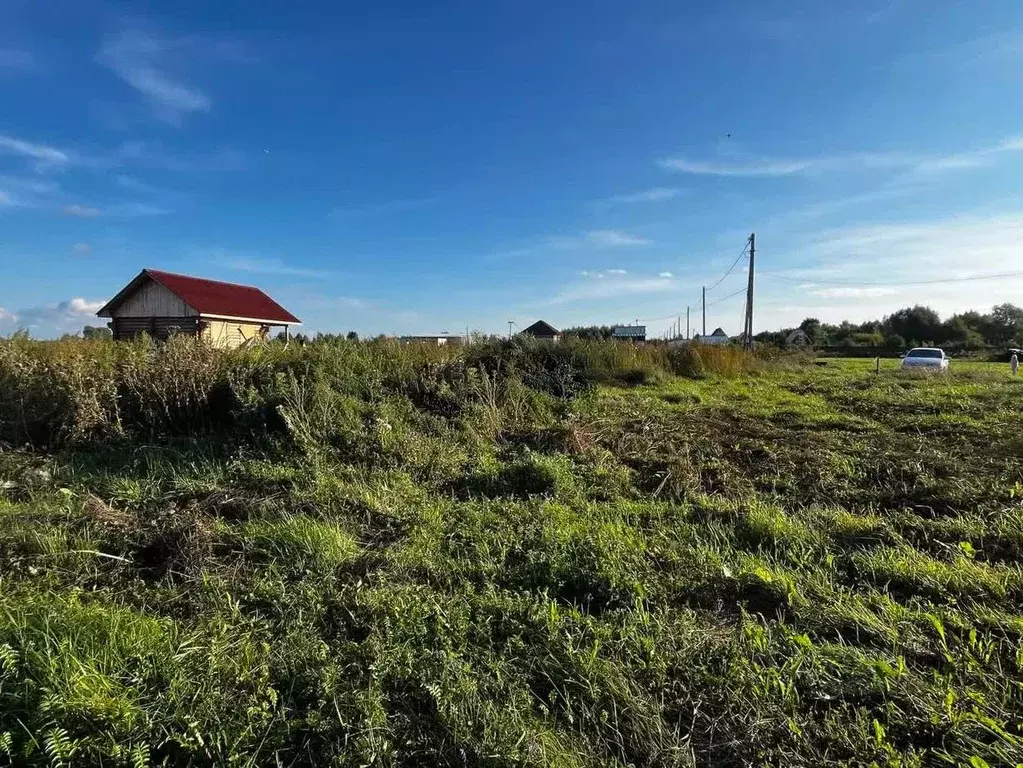 Участок в Ульяновская область, Старая Майна рп  (10.0 сот.) - Фото 1