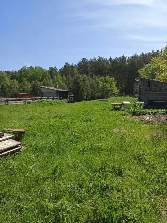 Участок в Новосибирская область, Ордынский район, д. Абрашино ... - Фото 1