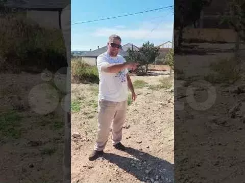 Участок 4 сот. (СНТ, ДНП) - Фото 1