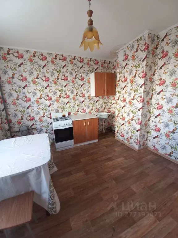 1-к кв. Саратовская область, Саратов ул. Имени П.Ф. Батавина, 17 (43.0 ... - Фото 1