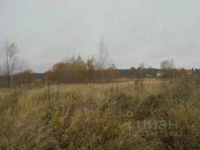 Участок в Московская область, Дмитровский муниципальный округ, пос. ... - Фото 1