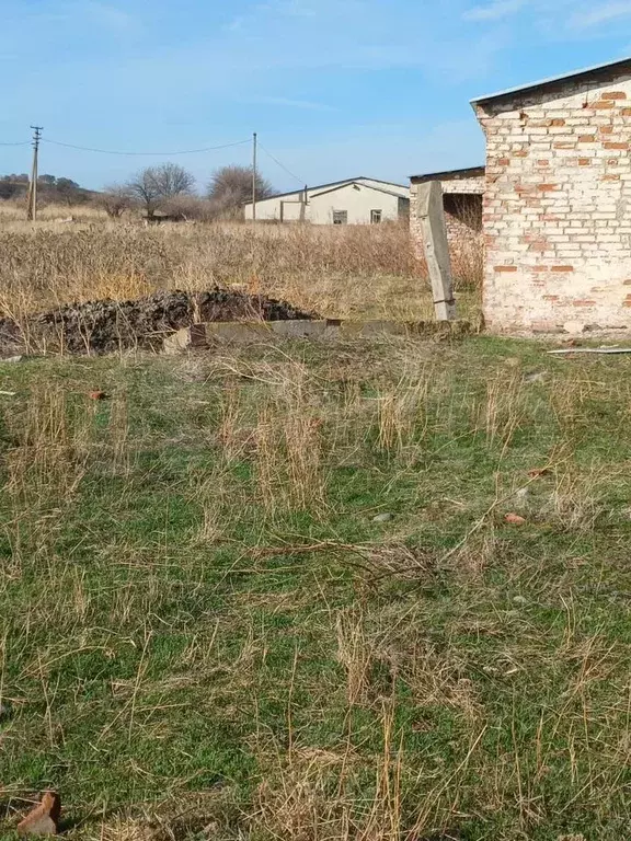 Участок 12 га (СНТ, ДНП) - Фото 1
