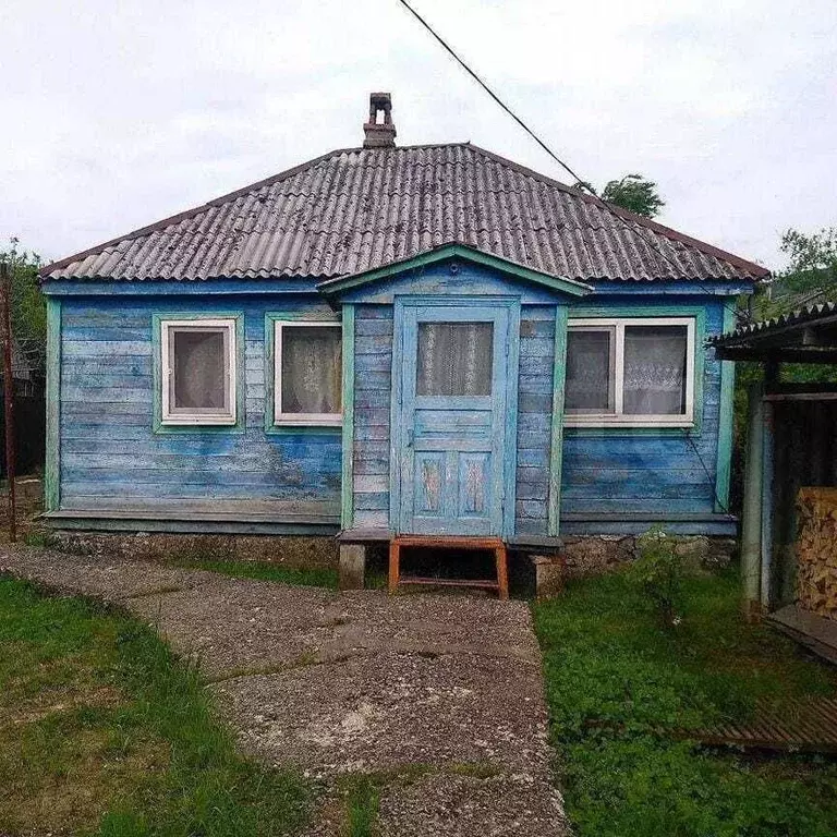 Дом 40,6 м на участке 4,2 сот. - Фото 0