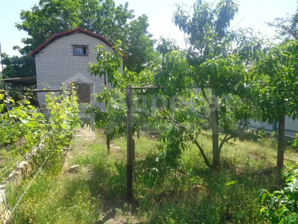 Купить Дачу Мелиоратор Тольятти