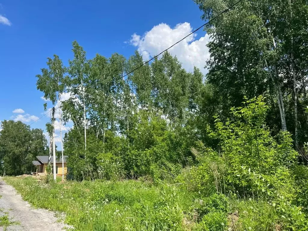 Участок в Новосибирская область, Искитимский район, Мичуринский ... - Фото 0