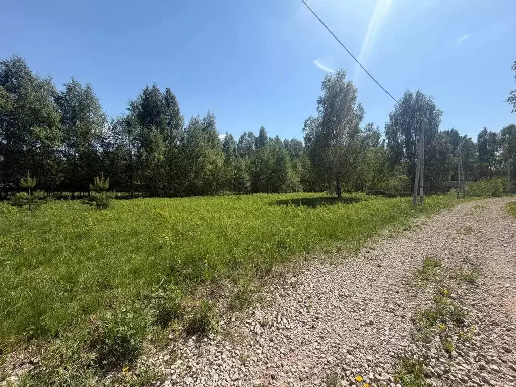 Участок в Московская область, Щелково городской округ, ТСН Здеховский ... - Фото 1