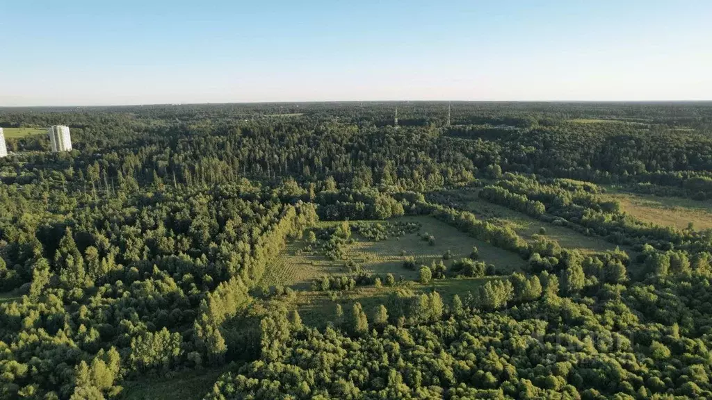Участок в Московская область, Звенигород Одинцовский городской округ, ... - Фото 1