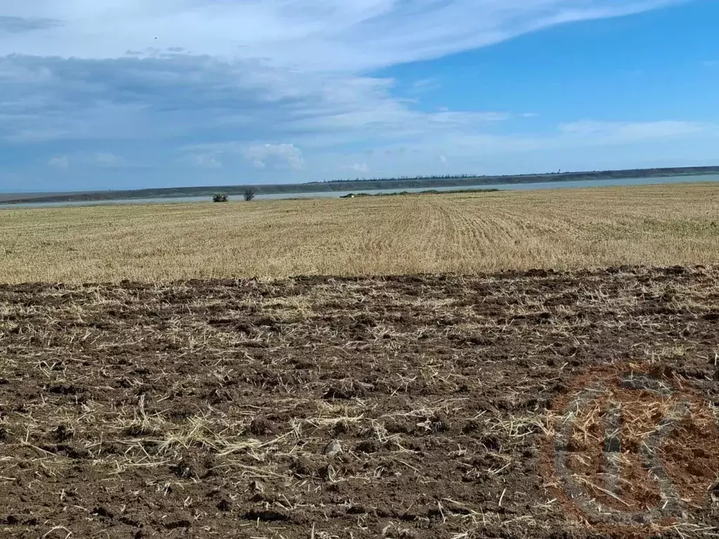 Участок в Крым, Сакский район, с. Фрунзе  (1400.0 сот.) - Фото 1