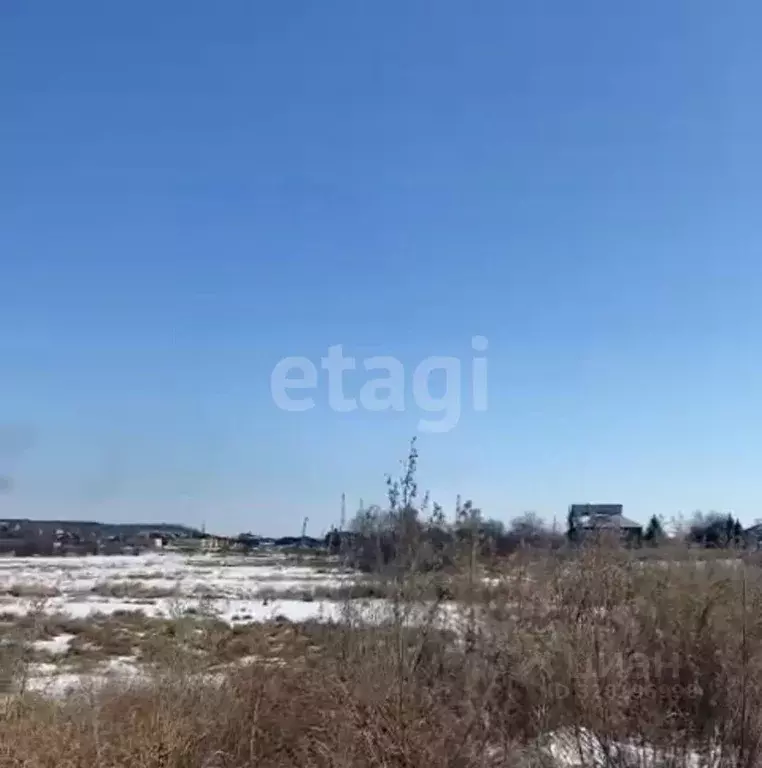 Участок в Амурская область, Благовещенский район, с. ... - Фото 1