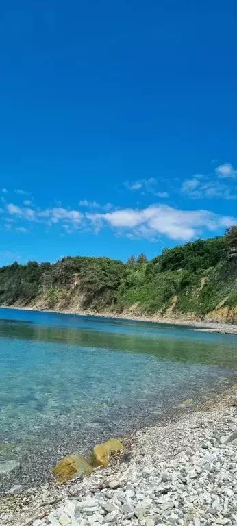 Дом в Краснодарский край, Туапсинский муниципальный округ, пос. ... - Фото 1