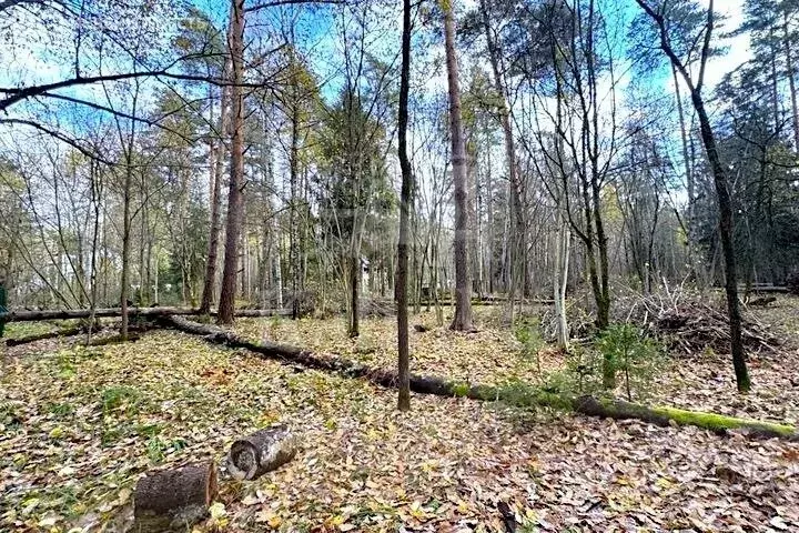 Участок в Одинцовский городской округ, садоводческое товарищество ... - Фото 2