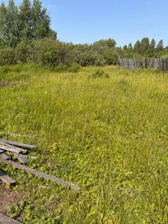 Участок в Нижегородская область, Выкса городской округ, Виля рп, пос. ... - Фото 1