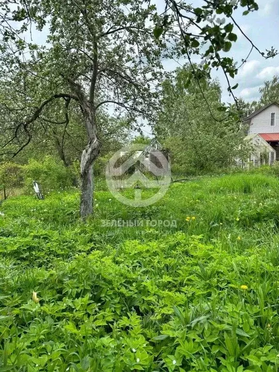 Купить Участок В Подмосковье Солнечногорский