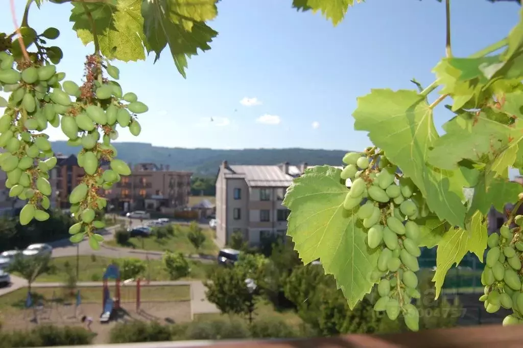 1-к кв. Краснодарский край, Геленджик городской округ, с. Дивноморское ... - Фото 1