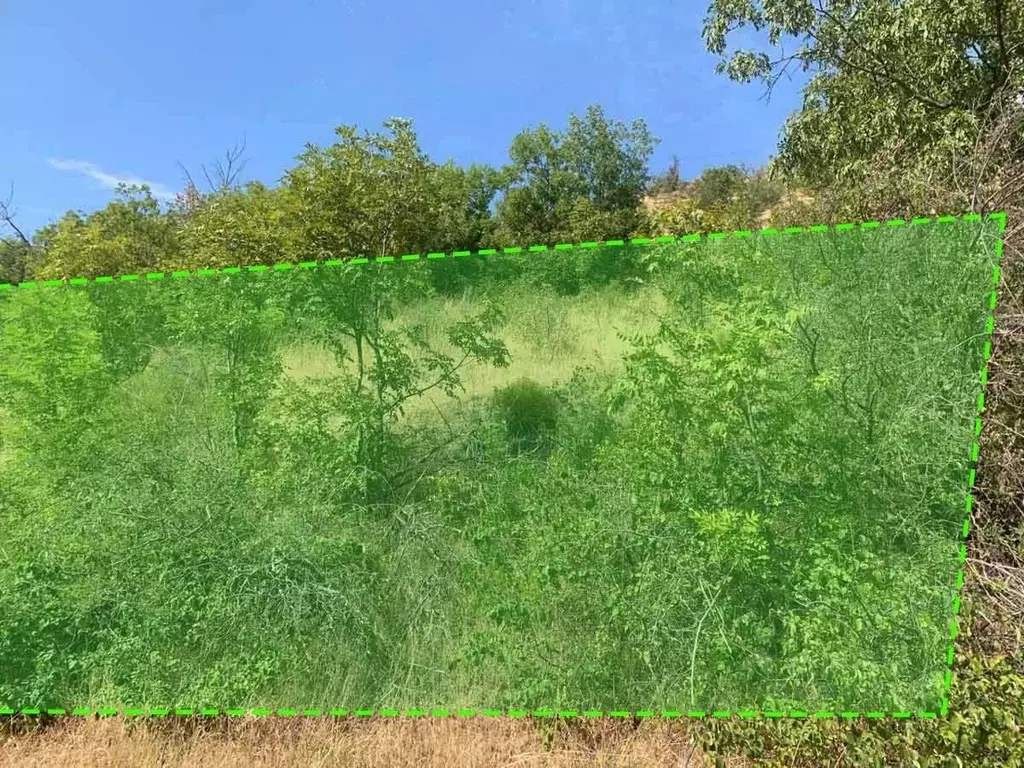 Участок в Крым, Алушта муниципальный округ, с. Генеральское  (11.5 ... - Фото 1