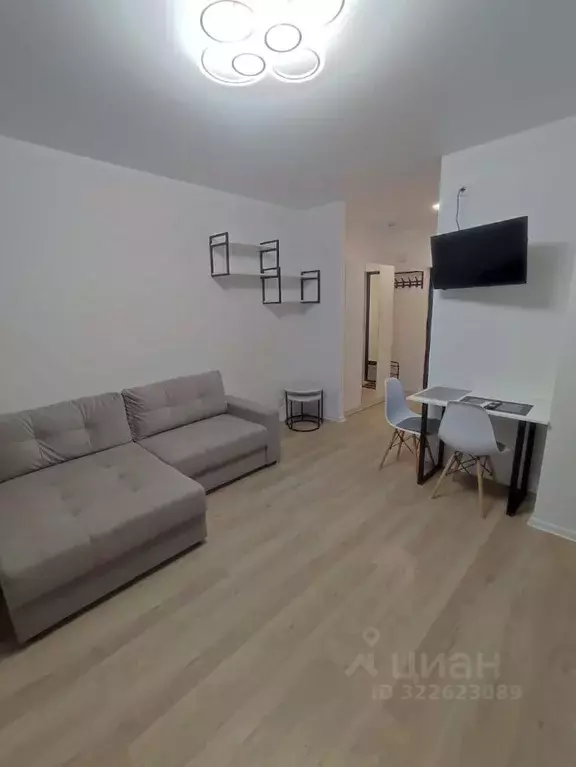 Студия Московская область, Домодедово городской округ, с. Ям ул. ... - Фото 2