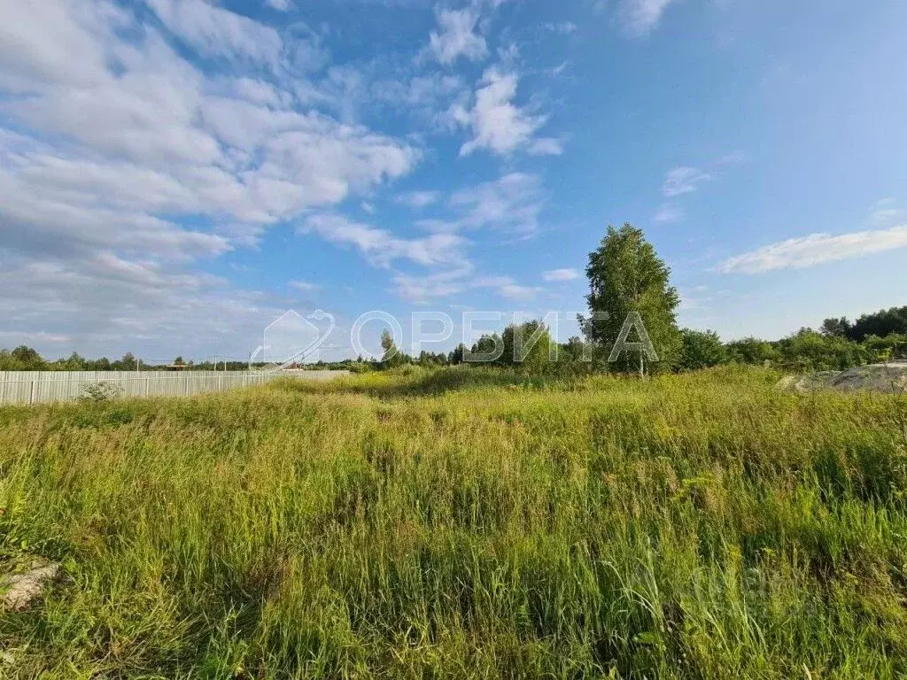 Участок в Тюменская область, Нижнетавдинский район, с. Тюнево  (10.0 ... - Фото 1