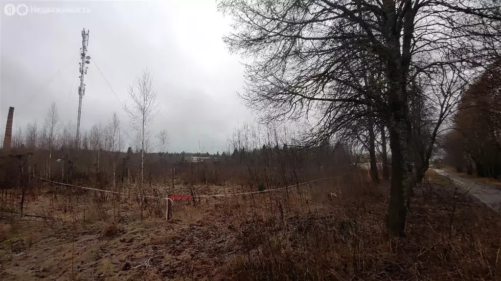 Участок в Ленинградская область, Гатчинский муниципальный округ, ... - Фото 2