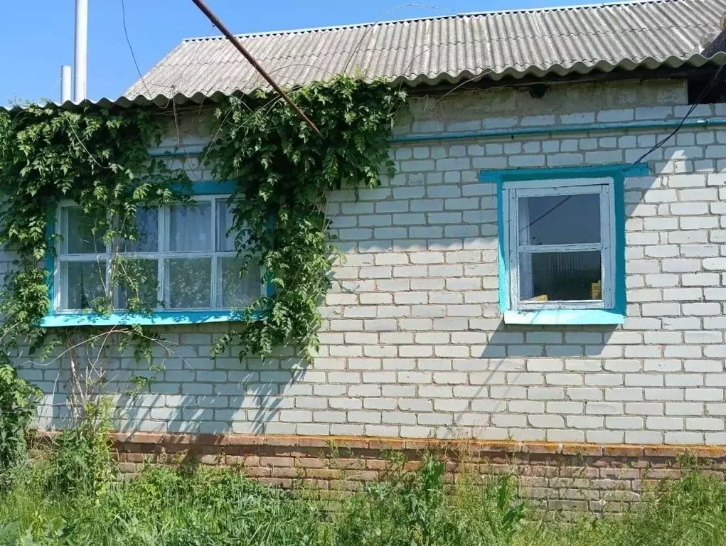 Дом в Белгородская область, Грайворонский муниципальный округ, с. ... - Фото 2