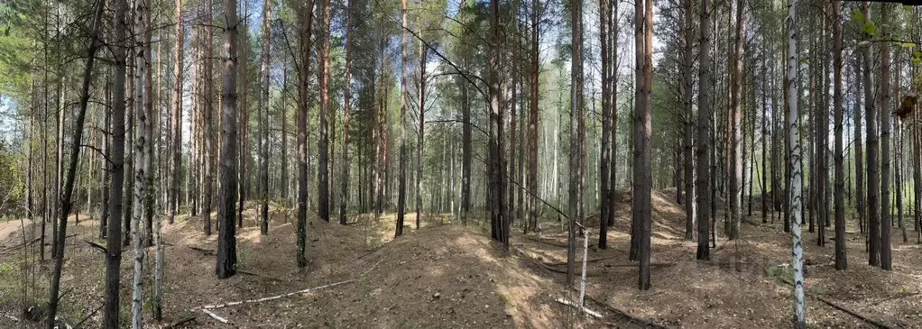 Участок в Тюменская область, Нижнетавдинский район, пос. Торгили  (9.0 ... - Фото 1