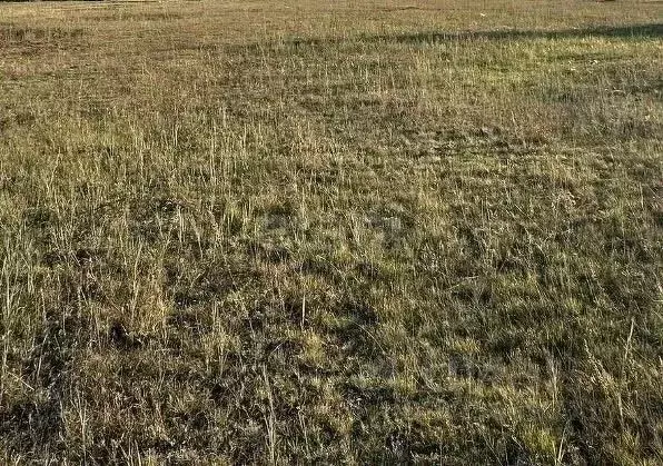 Участок в Саха (Якутия), Якутск проезд Ромашковый, 7 (10.0 сот.) - Фото 1