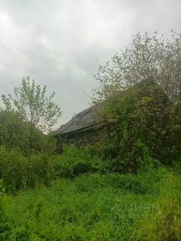 Дом в Новгородская область, Новгородский район, Савинское с/пос, д. ... - Фото 2