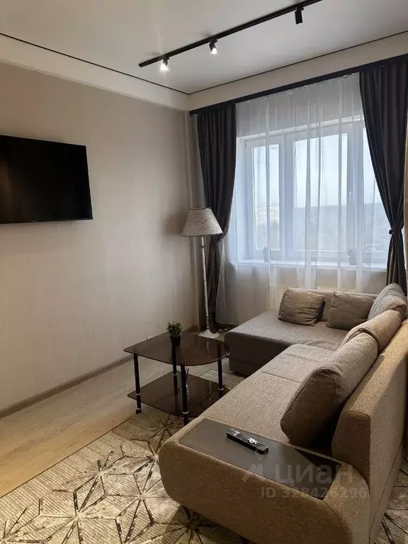 Студия Московская область, Богородский городской округ, д. Щемилово ... - Фото 2