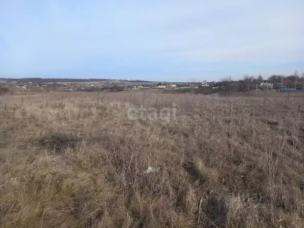Участок в Белгородская область, Губкинский городской округ, с. Теплый ... - Фото 0