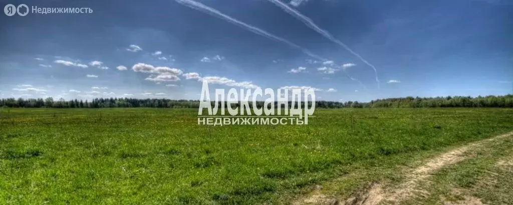 Участок в Клопицкое сельское поселение, деревня Красные Череповицы ... - Фото 1