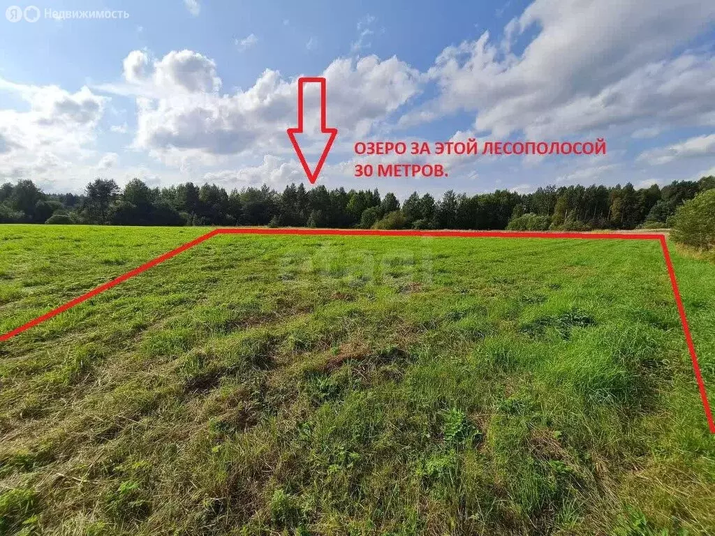 Участок в Кондопожский район, Кончезерское сельское поселение, село ... - Фото 2