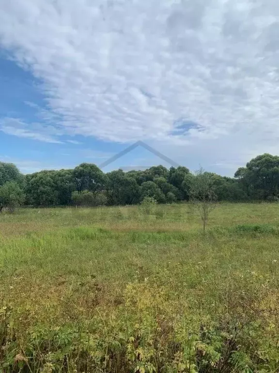 Участок в Калужская область, Ферзиковский район, Ястребовка с/пос, д. ... - Фото 2