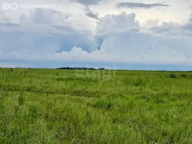 Участок в Тюмень, ТОО Ембаевское (9.67 м) - Фото 2