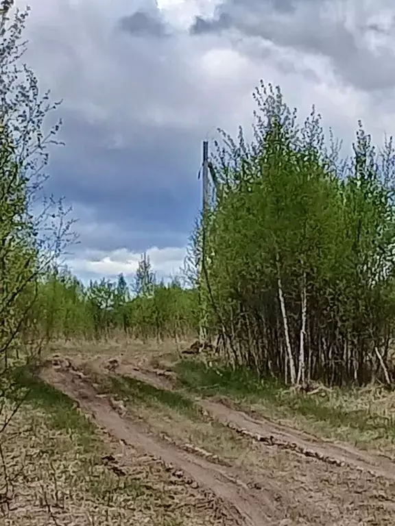 Участок в Калужская область, Калуга ул. Непокоренных Ленинградцев ... - Фото 0