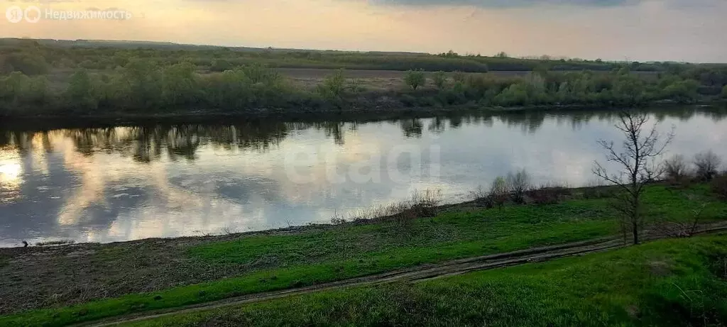 Участок в Новоживотинное, Придонская улица (30 м) - Фото 0