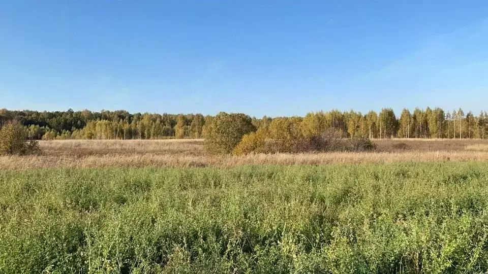 Участок в Московская область, Кашира городской округ, д. Никулино  ... - Фото 0